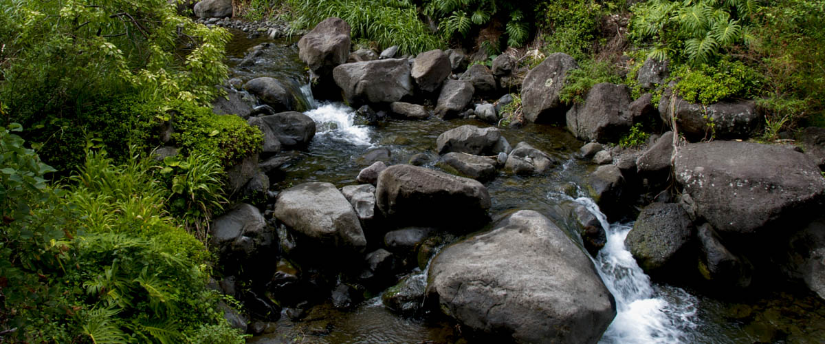 Iao Valley