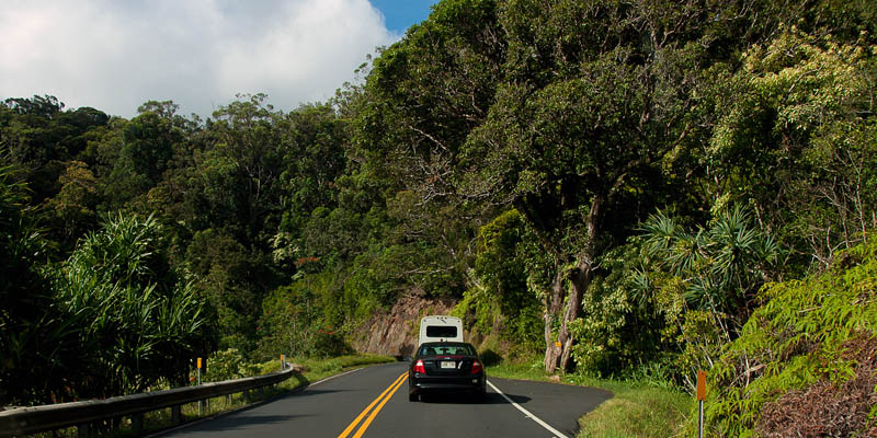 Driving the Road to Hana