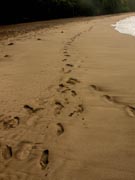 Footprints at Hamoa Beach, Maui
