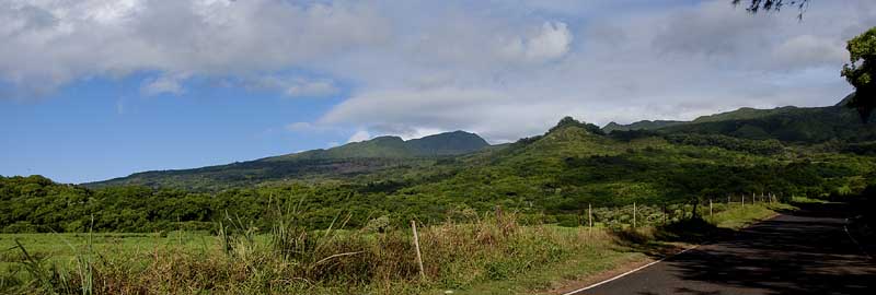 Road to Hana panoramic