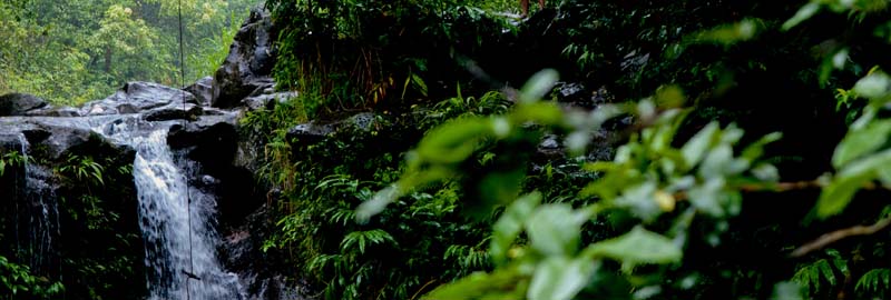 Road to Hana waterfall