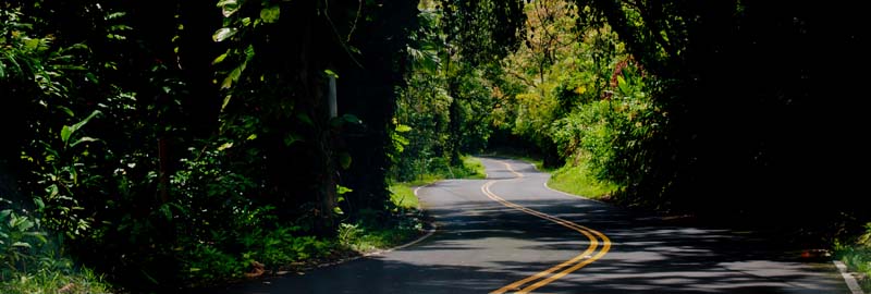 Road to Hana winding road