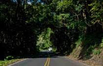 Road to Hana Image