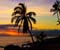 Maui's Best Sunset Beaches
