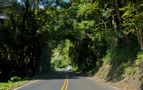 Road to Hana Drive