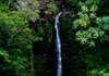 road to Hana Puahokamoa Falls