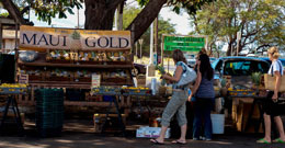 Kihei Image