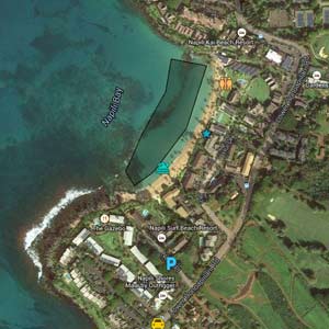Napili Beach Google Map Image