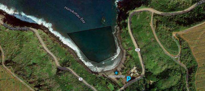 Snorkel Honokohau Bay Google   Map 