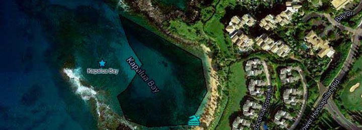 Snorkel Kapalua Bay Google   Map 