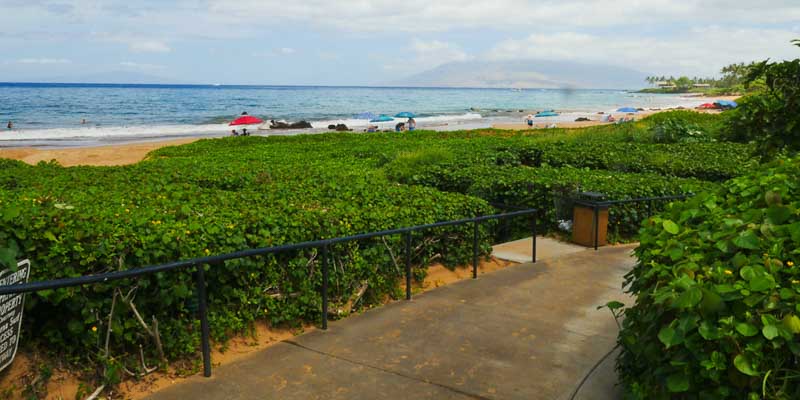 Path to South Poolenalena Beach