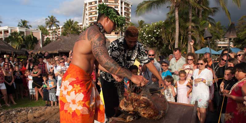 Grand Wailea Luau - cooking the pig