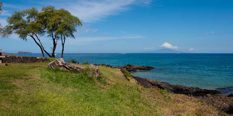 Maluaka Beach south reef