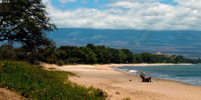 Sandy Beaches from Lipoa St entrance