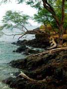 Makena Landing