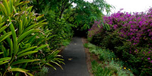 Explore Enchanting Gardens