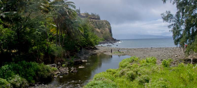 Honokohau Bay Stream