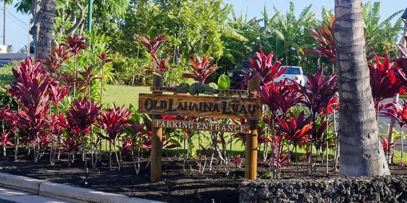 Old Lahaina Luau