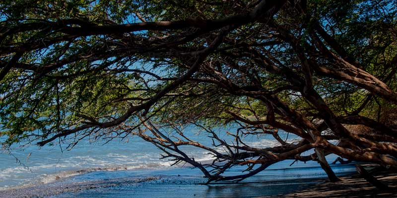 Olowalu Bay Mile Marker 14