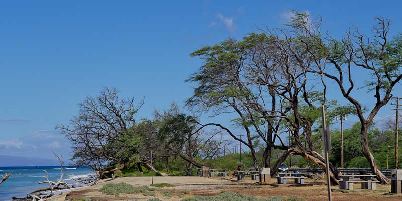 Ukumehame Beach